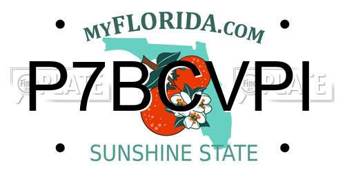 P7BCVPI Florida License Plate