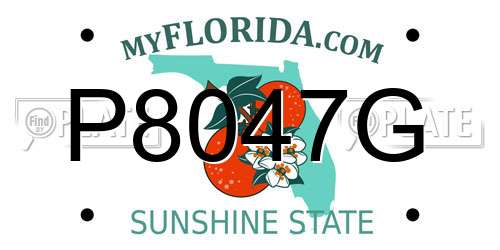 P8047G Florida License Plate