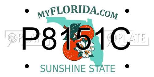 P8151C Florida License Plate