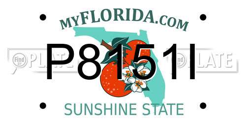 P8151I Florida License Plate