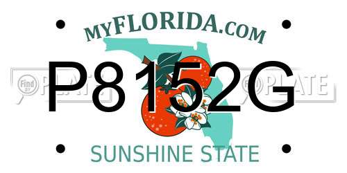 P8152G Florida License Plate