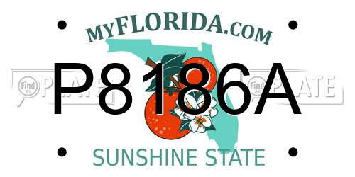 P8186A Florida License Plate