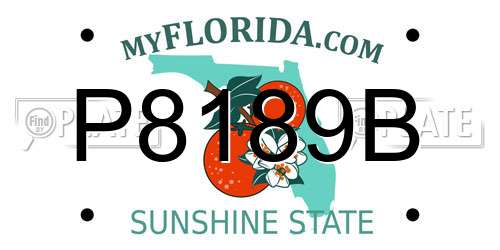 P8189B Florida License Plate