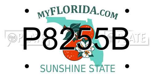 P8255B Florida License Plate