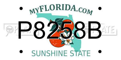P8258B Florida License Plate
