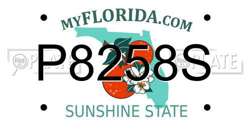 P8258S Florida License Plate