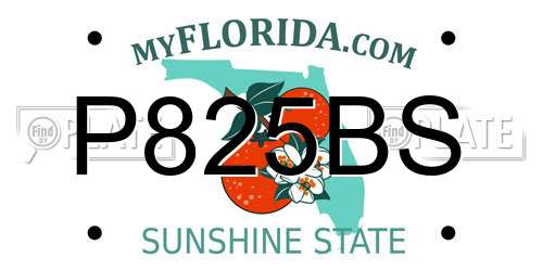 P825BS Florida License Plate