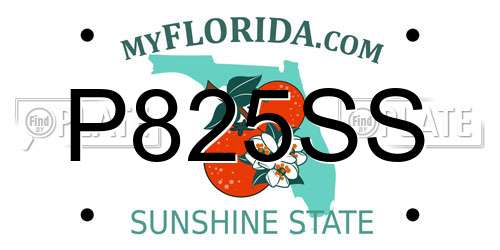 P825SS Florida License Plate