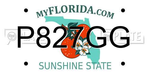 P827GG Florida License Plate