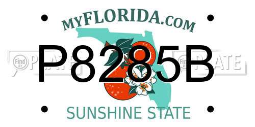 P8285B Florida License Plate