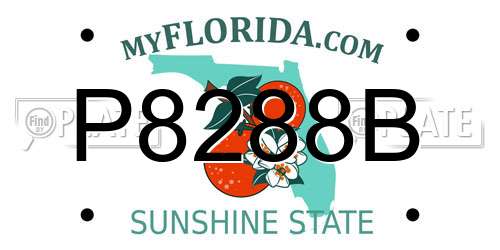 P8288B Florida License Plate