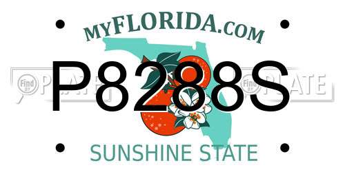 P8288S Florida License Plate
