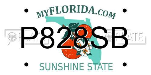 P828SB Florida License Plate