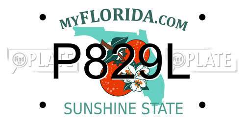 P829L Florida License Plate