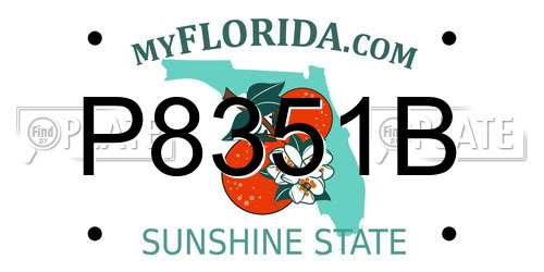 P8351B Florida License Plate