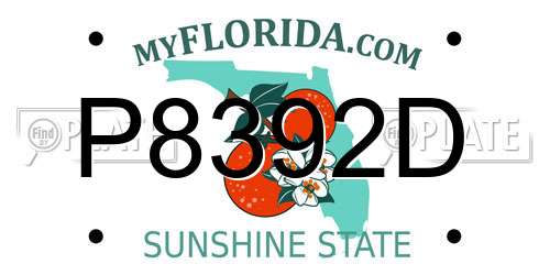 P8392D Florida License Plate