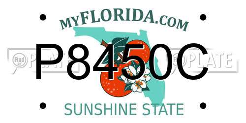 P8450C Florida License Plate