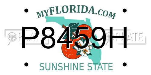 P8459H Florida License Plate