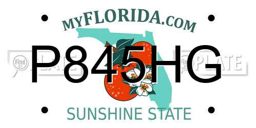 P845HG Florida License Plate