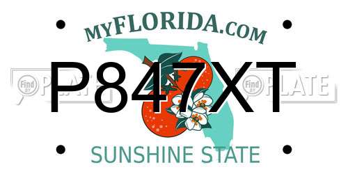 P847XT Florida License Plate