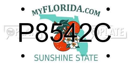 P8542C Florida License Plate