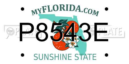 P8543E Florida License Plate