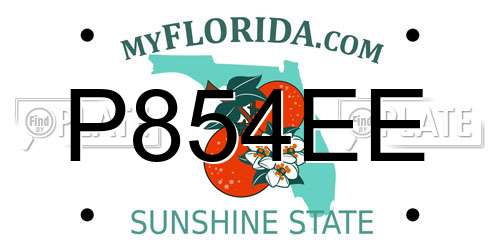 P854EE Florida License Plate