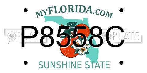 P8558C Florida License Plate