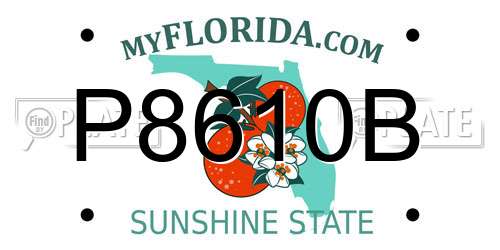P8610B Florida License Plate