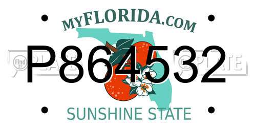 P864532 Florida License Plate