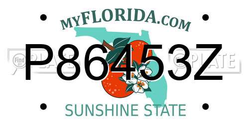 P86453Z Florida License Plate