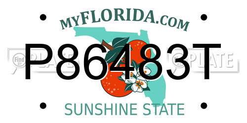 P86483T Florida License Plate