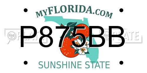 P875BB Florida License Plate