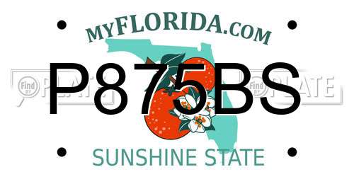 P875BS Florida License Plate
