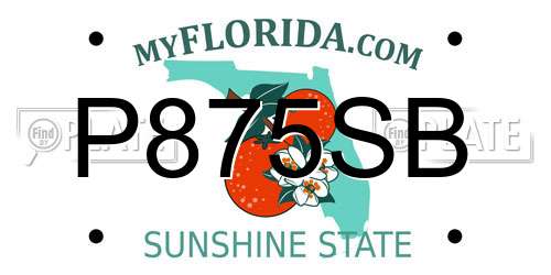 P875SB Florida License Plate