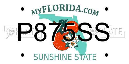 P875SS Florida License Plate