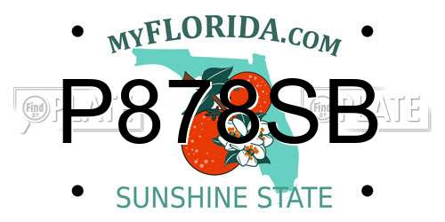 P878SB Florida License Plate