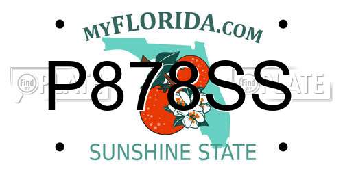 P878SS Florida License Plate
