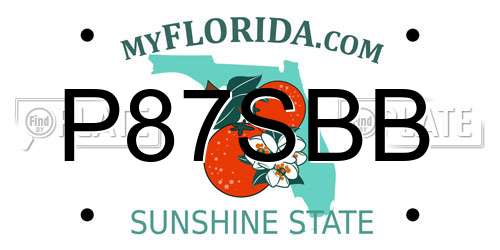 P87SBB Florida License Plate
