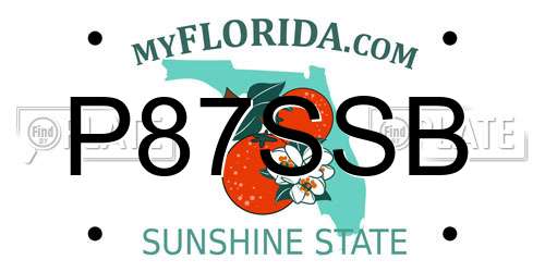 P87SSB Florida License Plate