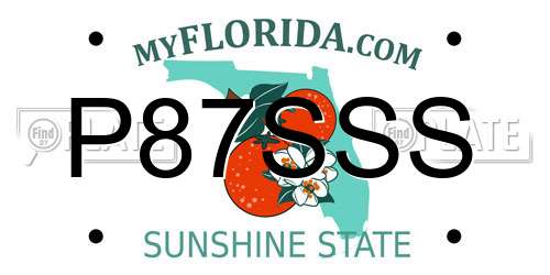 P87SSS Florida License Plate