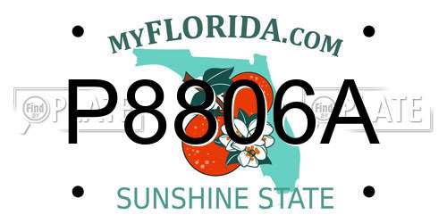 P8806A Florida License Plate