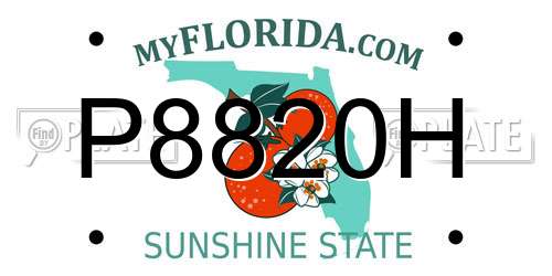 P8820H Florida License Plate