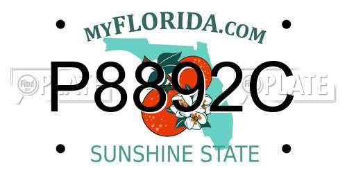 P8892C Florida License Plate