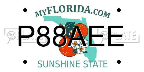P88AEE Florida License Plate