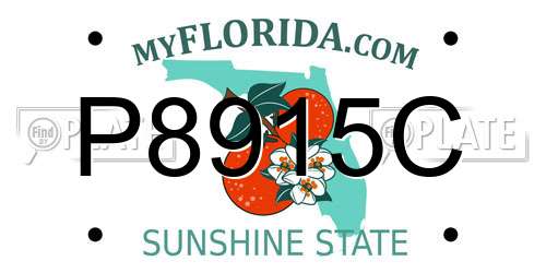 P8915C Florida License Plate