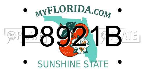 P8921B Florida License Plate