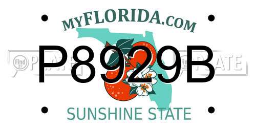 P8929B Florida License Plate