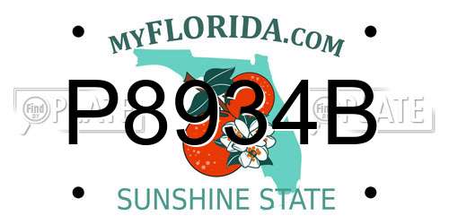 P8934B Florida License Plate