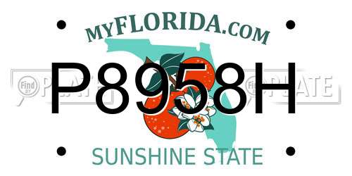 P8958H Florida License Plate
